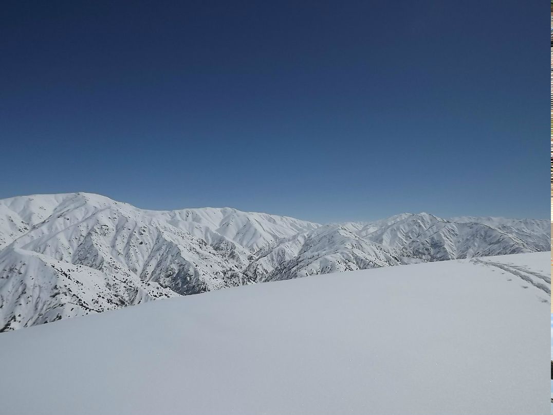Андрей Гулак | Санкт-Петербург
