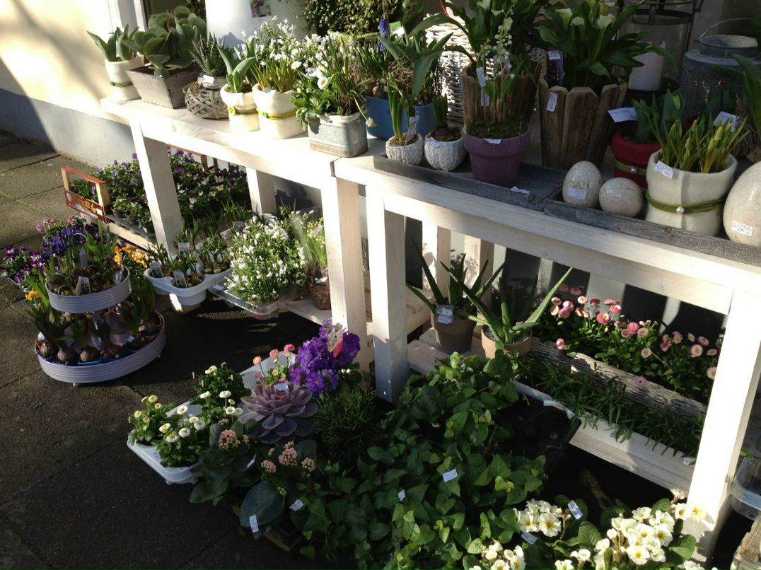 Александра Климашевич | Минск