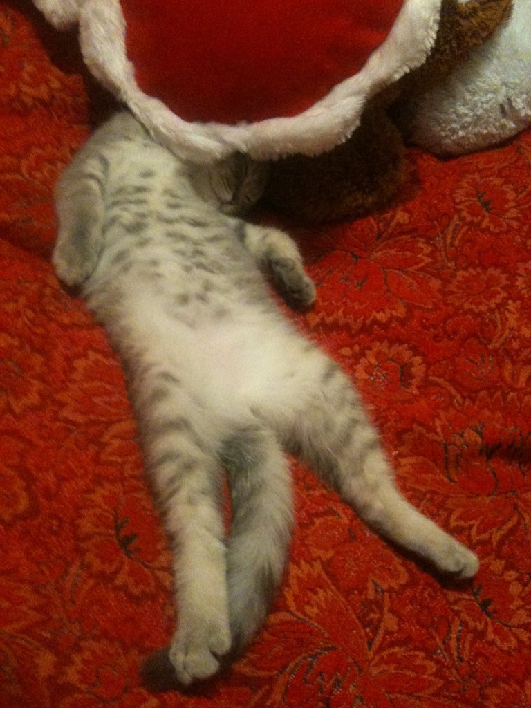 Алёна Медкова | Киев