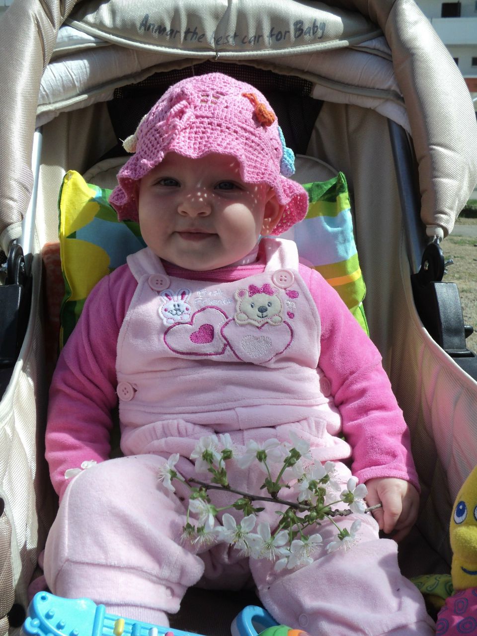 Антонина Халина | 