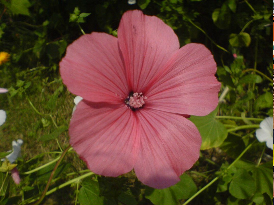 Вася Глекова | Минск