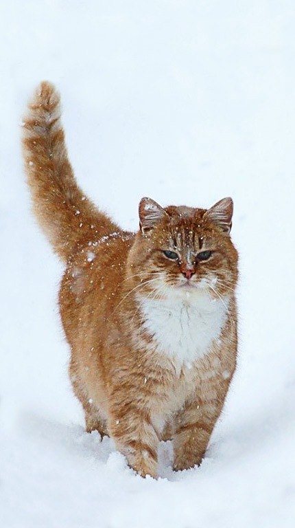 Павел Алексеев Евгеньевич | Новосибирск