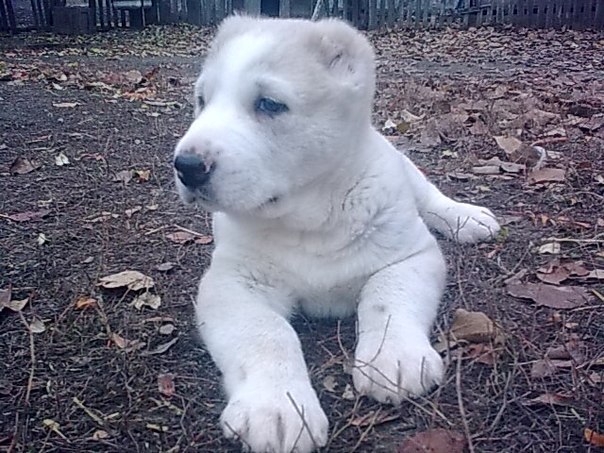 №108, Алексей Губский, 35 лет, Харьков №108, Алексей Губский, 35 лет, Харьков