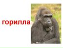 Фотография Никита Зотов