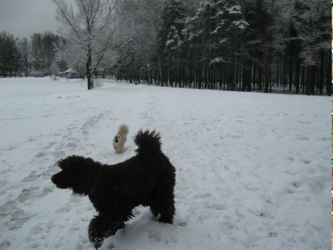 Александра Качурина | Санкт-Петербург