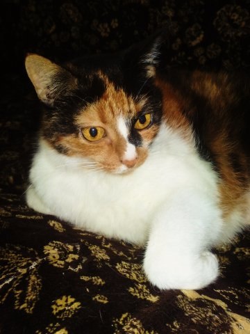 Анастасия Лебедева | Санкт-Петербург