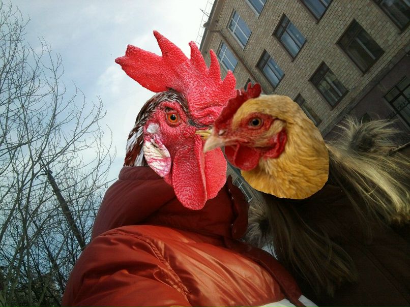 Арина Шаршавицкая | 