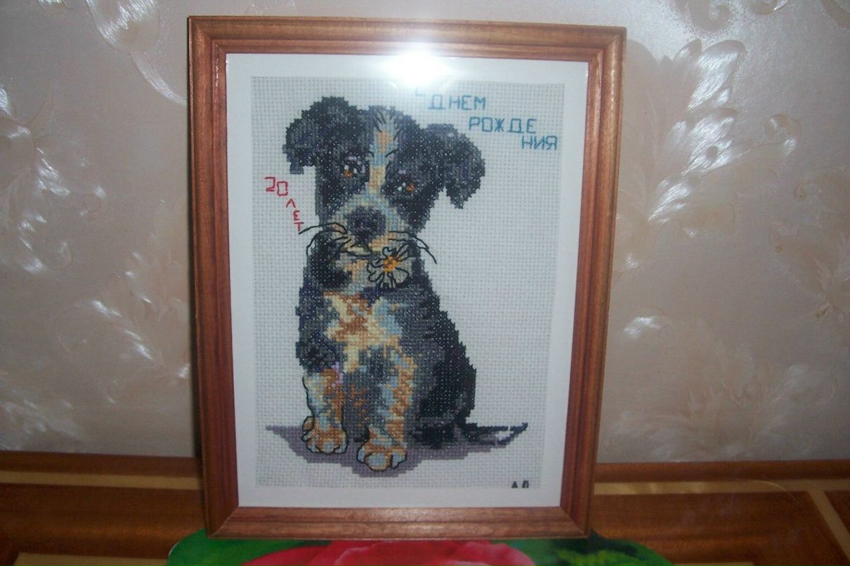 Dino Cavallone | Москва