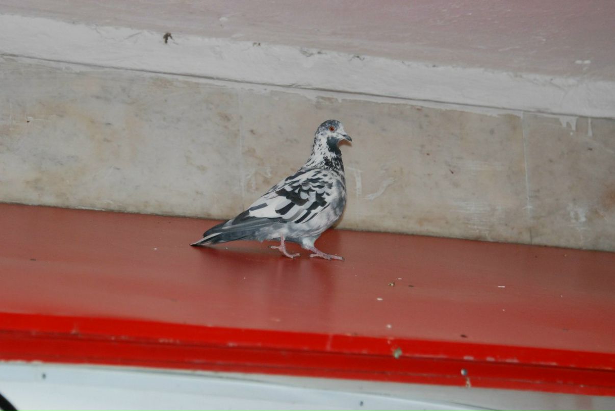 Катерина Марченко | Москва