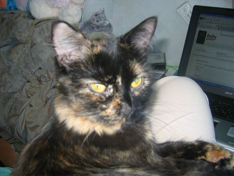 №2, Рома Иванов, 38 лет, Боровичи №2, Рома Иванов, 38 лет, Боровичи