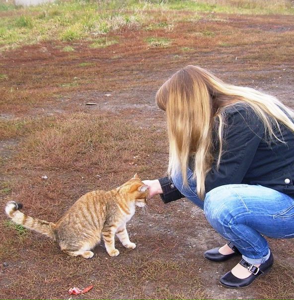 №112, Елена Симанович №112, Елена Симанович