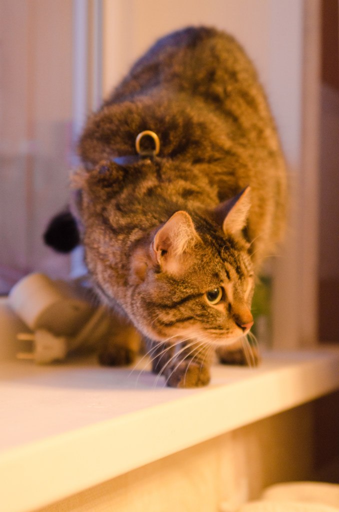 Ольга Гретченко | Тюмень