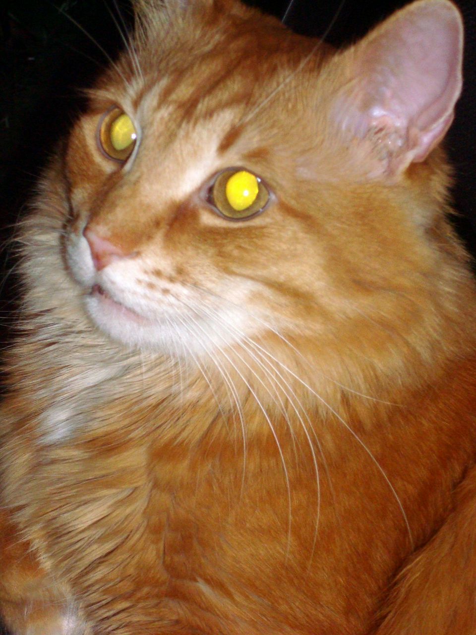 Мария Лищенко _MerryL_ | 