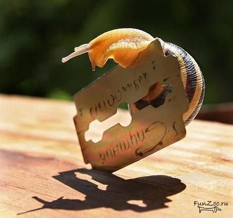 Евгений Иванов -=#[Doctor]#=- | Калуга