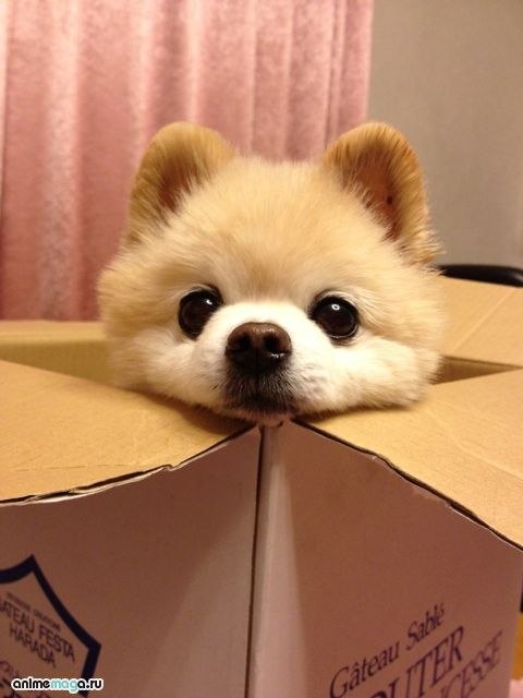 Евгений Медведев ٩(̾●̮̮̃̾•̃̾)۶ | Воронеж