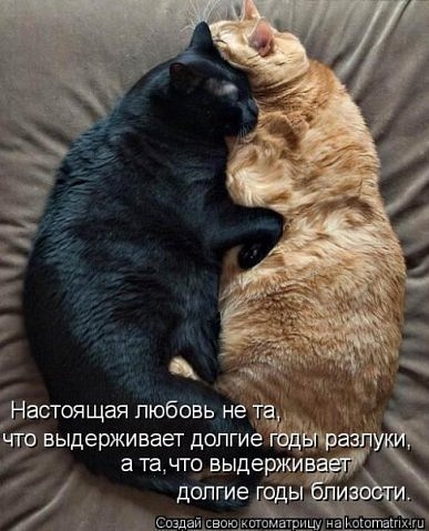 №41, Елена Княжева, Санкт-Петербург №41, Елена Княжева, Санкт-Петербург