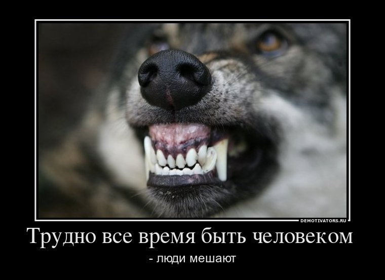 Серёга Соколов | Петрозаводск