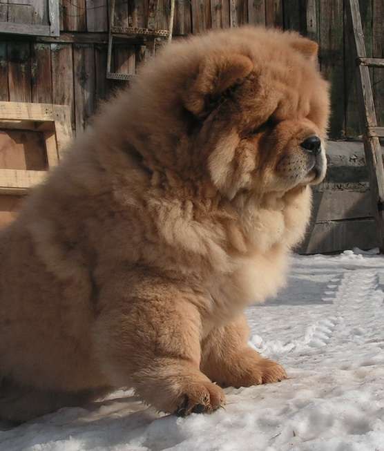 Дмитрий Распутний | Москва