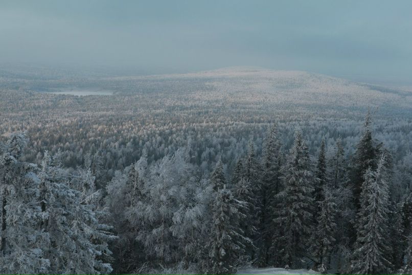 Рустам Минулин | Тюмень