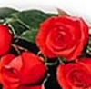 №41 Наташа Глебова 16.08.1997: профиль, фото, статус - ВКонтакте