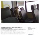 №32 Капитолина Рязанова : профиль, фото, статус - ВКонтакте