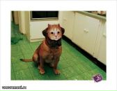 №12 Олег Боднарчук 25.05.1980: профиль, фото, статус - ВКонтакте