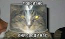 Фотография Юлия Бубнова