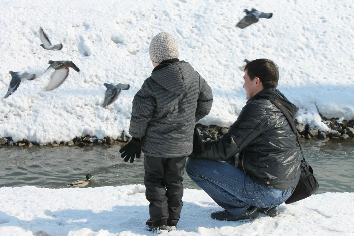 Рамис Самигуллин | 