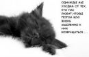 №20 Нюточка Куклина 04.02: профиль, фото, статус - ВКонтакте №20 Нюточка Куклина 04.02: профиль, фото, статус - ВКонтакте