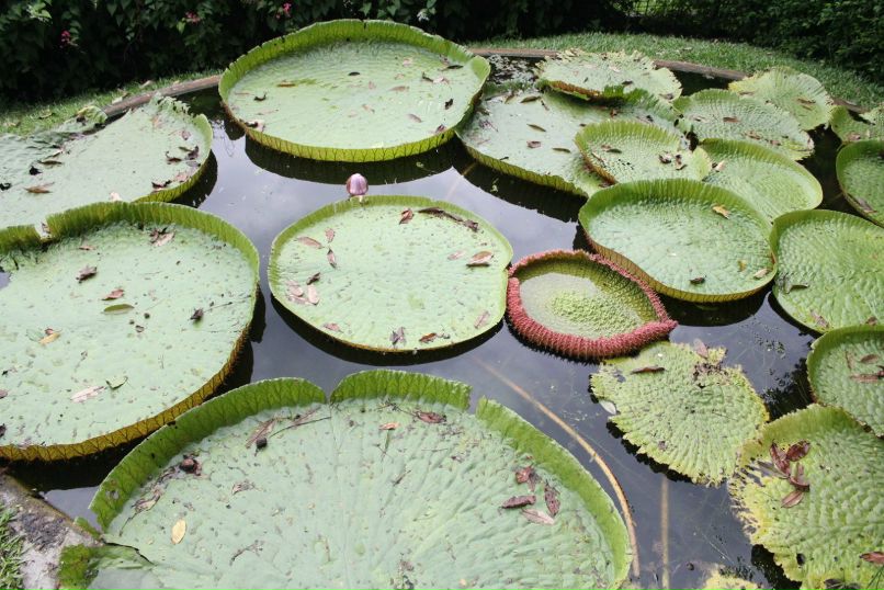 Гоша Проскуряков | Москва