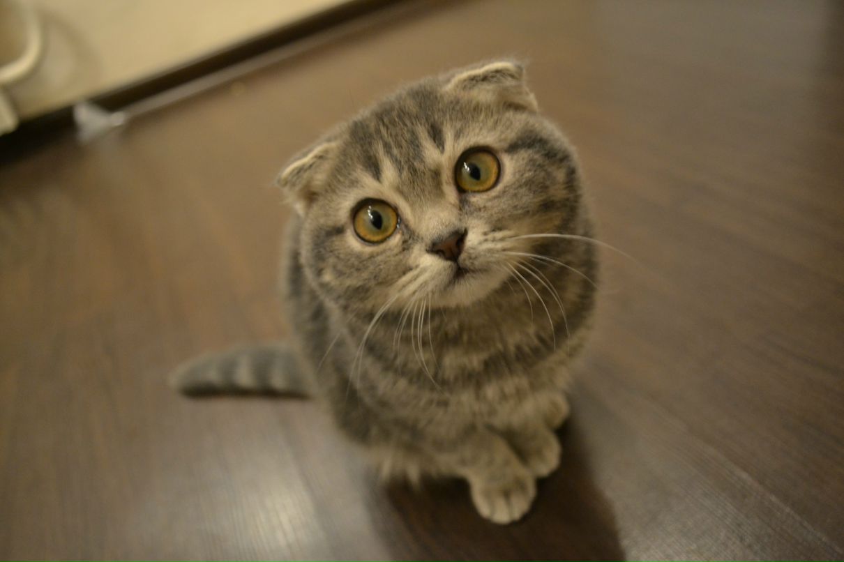 Маша Басова | Екатеринбург