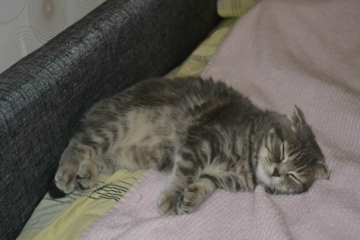 Маша Басова | Екатеринбург