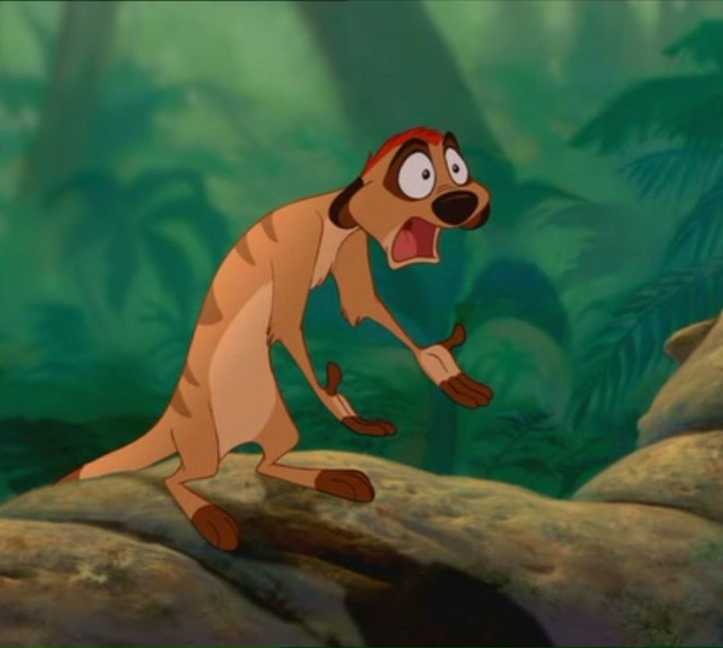 Влад Костин | 