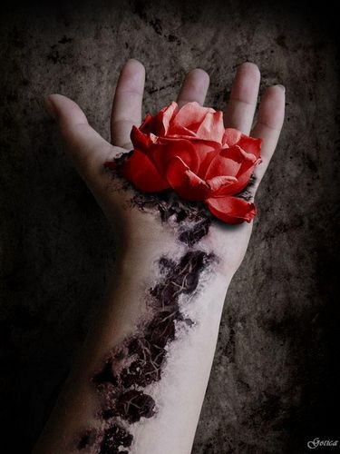 №81, Александр Голюк, Санкт-Петербург №81, Александр Голюк, Санкт-Петербург