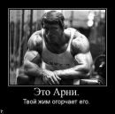 Фотография Анастасия Шевченко