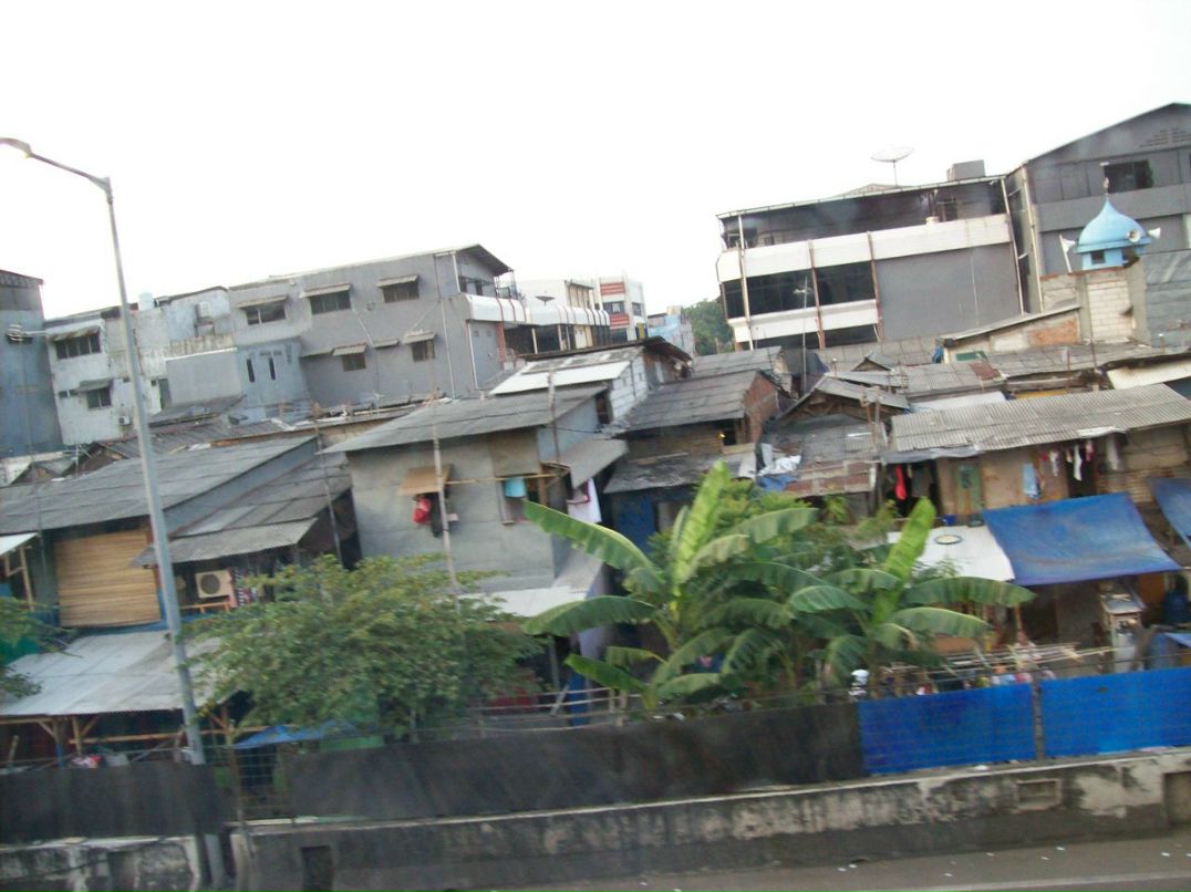 Степан Жилинский | Минск