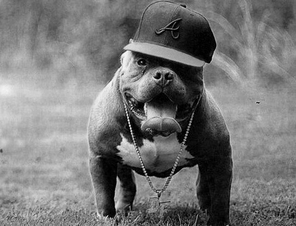 Iskander Dusenov Yerikuly | Алматы