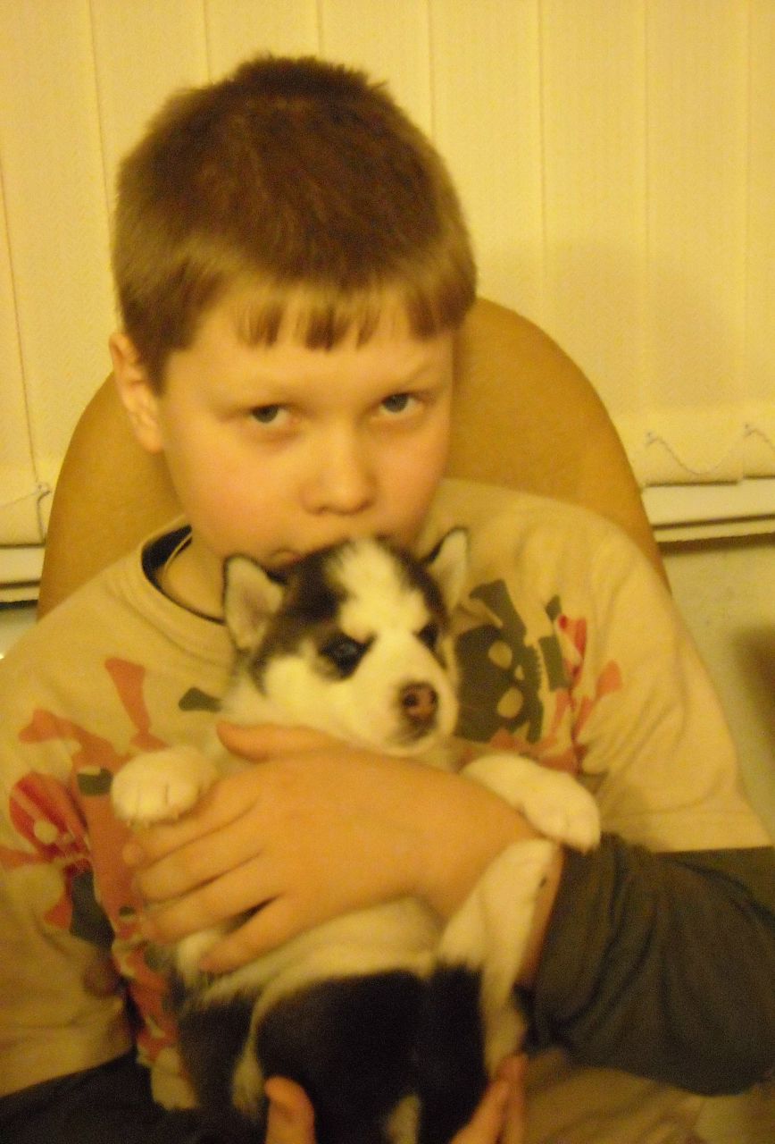 Supermen Шевченко | Сосновый Бор