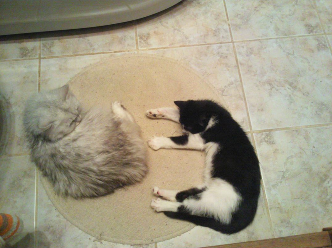 Наталья Яковлева | Санкт-Петербург