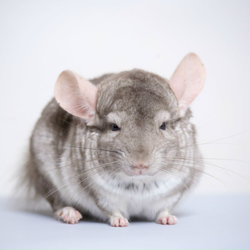 Юля Ищенко | Киев