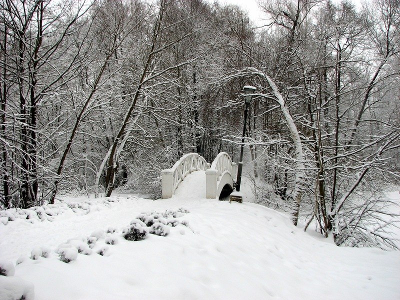 Ася Луценко | Екатеринбург