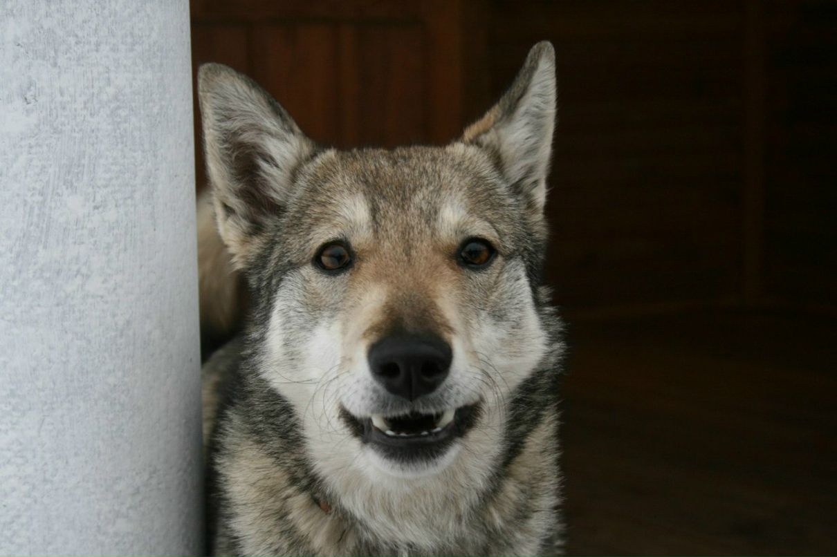 Антон Костюк | Минск