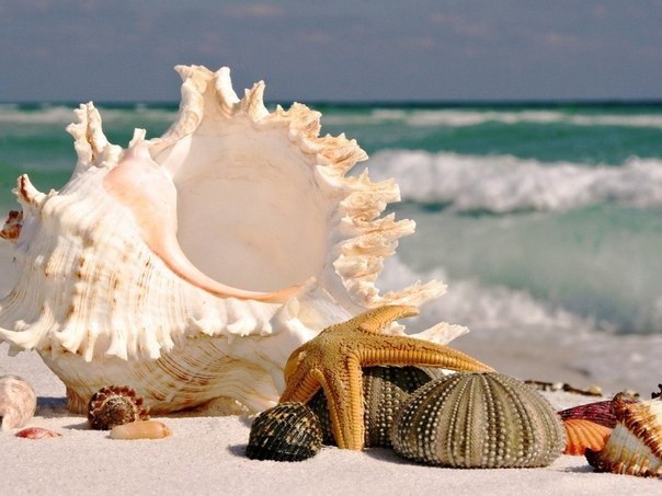 Оля Човган | Ивано-Франковск