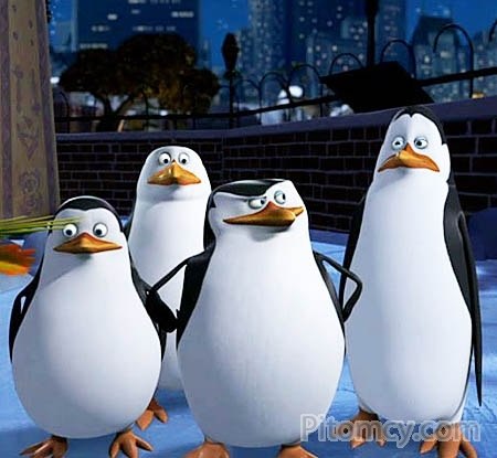 Олег Смирнов | Вологда