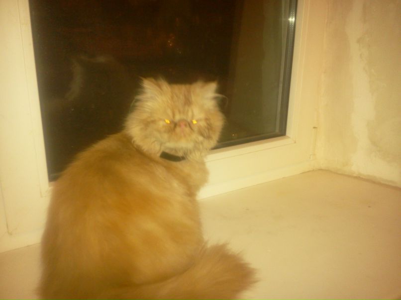 Дмитрий Одесский | Одесса