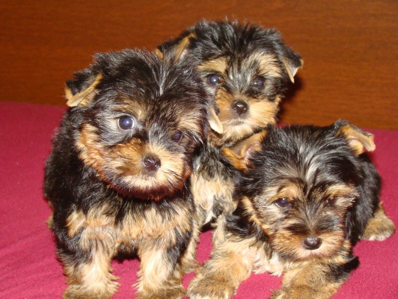 Ильнар Гаязов | Набережные Челны