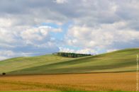 №37 Михаил Дремин 29.10: профиль, фото, статус - ВКонтакте