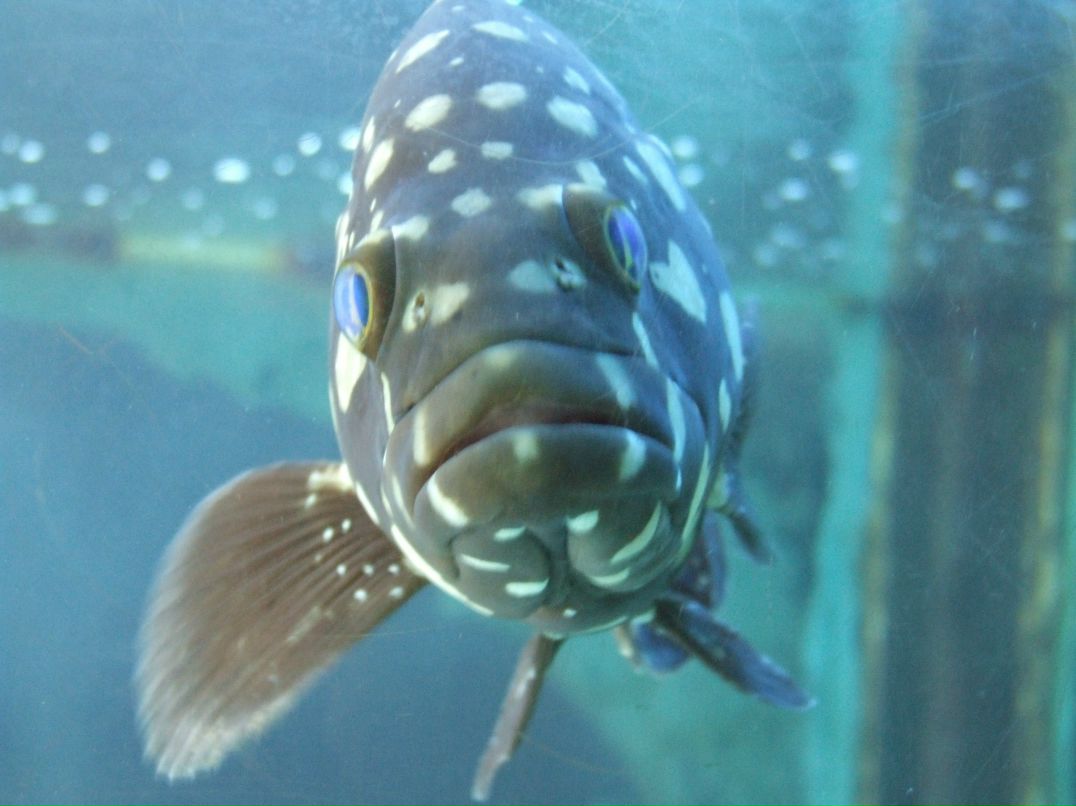 Артем Беляков | Калининград