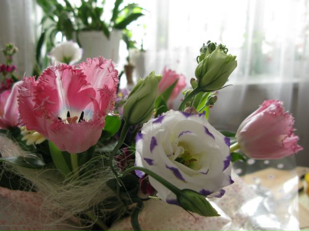 №33, Елена Киселева, Санкт-Петербург, Россия №33, Елена Киселева, Санкт-Петербург, Россия