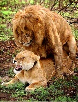 Настя Папкова ...no supergirl... | Москва